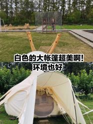 点击看大图 -前小桔亲子创意农场·草莓采摘·露营烧烤