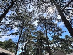 -承德避暑山庄景区