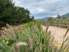 -永定河休闲森林公园
