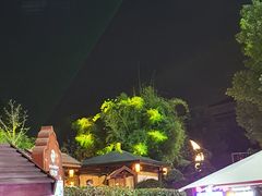 -杭州第一世界大酒店·云曼温泉