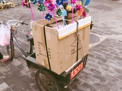 -桃花堤公园