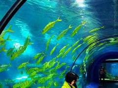 -福州罗源湾海洋世界旅游区