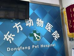 -东方动物医院·宠保定点·骨科·转诊中心(春城路·昆明站分院)