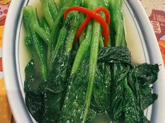 上汤富春菜心-点都德(汇胜楼店)