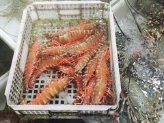 -拉威海鲜市场