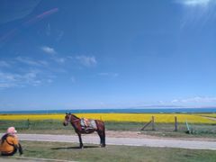-青海湖国家重点风景名胜区