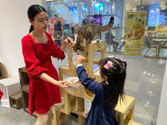 -瞄一喵猫咖(格力海岸店)