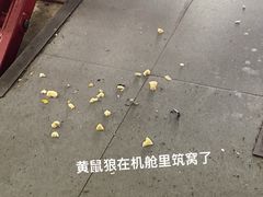 -途虎养车工场店(北京昌平体育场店)