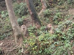-太阳湾风景区