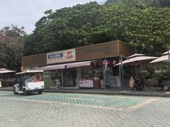 -杨梅坑