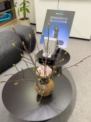 -JNK皮肤管理中心