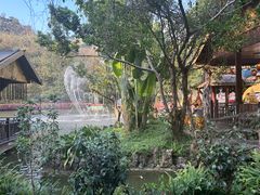 -西双版纳原始森林公园