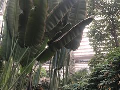 -龙达温泉生态城