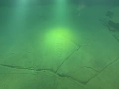 -白鹤梁水下博物馆