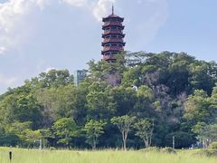-红花山公园
