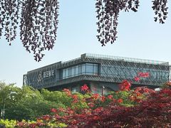 -嘉定紫藤园