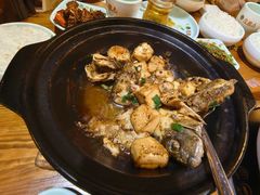 -龙泉人椰子鸡(龙昆南店)