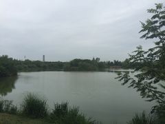 -白鹭湾湿地公园