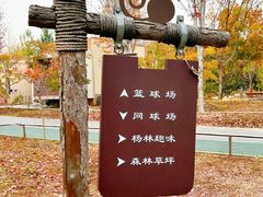 -回龙观体育文化公园