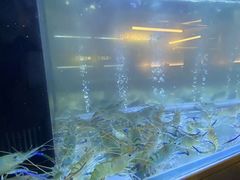 -白仁仔· 活烤海鲜 宵夜(豫园店)