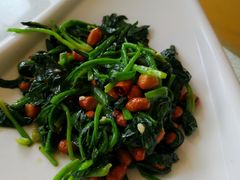 果仁菠菜（美）-撒拉花儿·新疆菜·清真(太阳宫店)