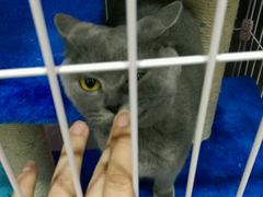 -暖阳宠物医院·犬猫康复中心·骨科