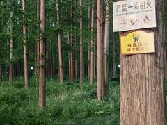 -上海怡沁园度假酒店