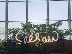 -Seesaw Coffee(朝阳大悦城店)