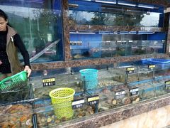 -龙溪海鲜酒家(溪涌店)