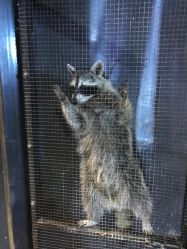 -酷嗒动物文化乐园(cutezoo西溪乐天城店)