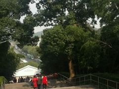 -上海佘山国家森林公园西佘山园