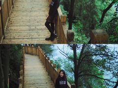 -铁山坪森林公园