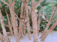 -南通洲际绿博园