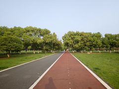 -艾溪湖湿地公园
