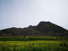 -沣峪口