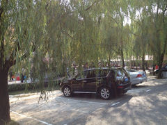 iphone_upload_pic-可心烤鱼