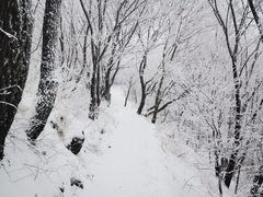 -阳台山自然风景区