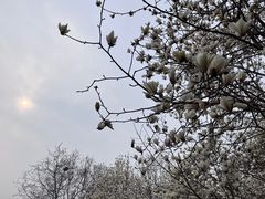 -睦南公园