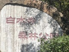-白水寺森林公园