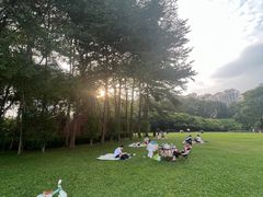 -荔香公园