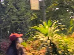 -金鸡山公园