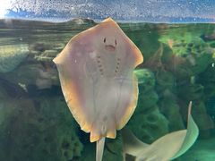 -珠海长隆海洋王国