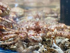 -盒马鲜生(皇庭广场店)