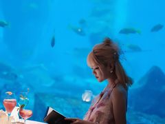 -亚特兰蒂斯•OSSIANO奥西亚诺海底餐厅