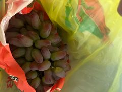 -马陆小张葡萄园农家乐