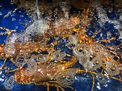 -海景壹号大酒店(滨湖店)