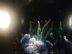 -番茄按摩·影院足道·柔足SPA