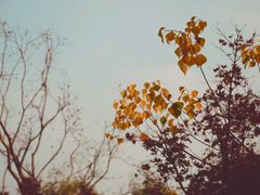 -昆山城市生态森林公园