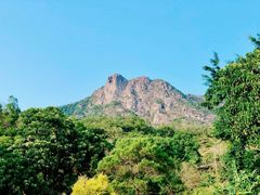 -狮子山郊野公园