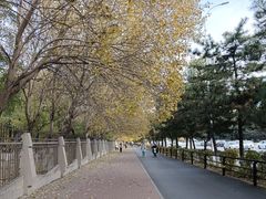 -辽宁大学(崇山校区)